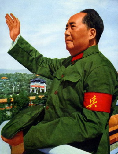 1966年8月至11月毛泽东为什么接见红卫兵？