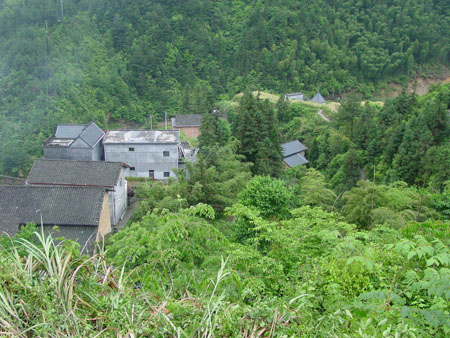 閩浙贛省委所在村庄