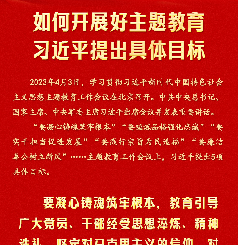 如何开展好主题教育 习近平提出具体目标