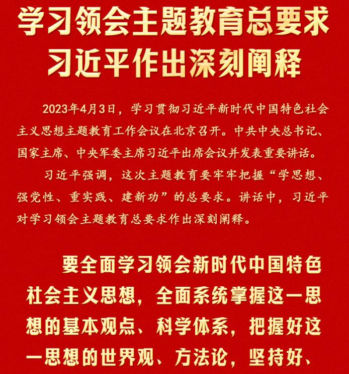 学习领会主题教育总要求 习近平作出深刻阐释