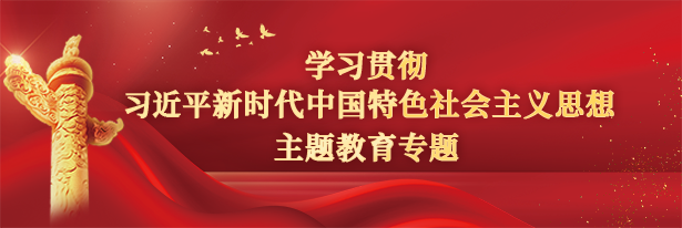 学习贯彻习近平新时代中国特色社会主义思想主题教育