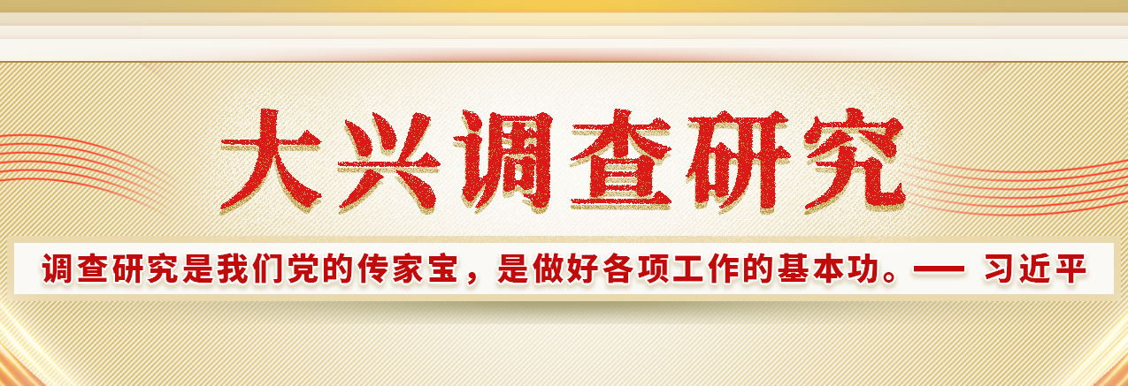 大兴调查研究