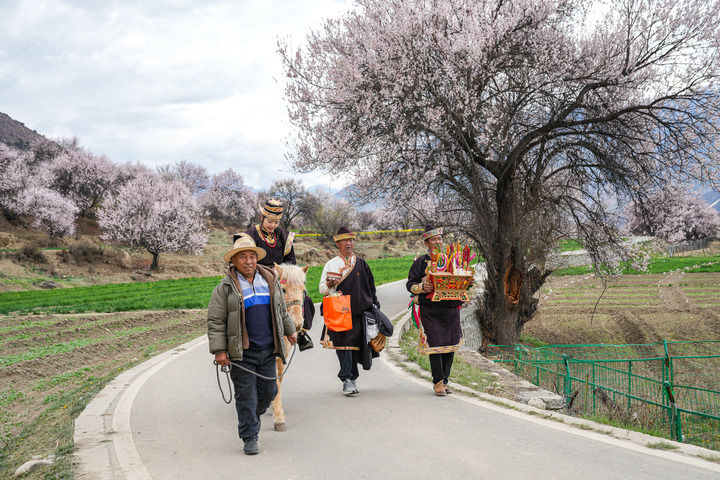 2025年4月3日，西藏林芝市朵当村群众身着盛装、手捧切玛为游客提供民俗体验活动。新华社记者 丁增尼达 摄